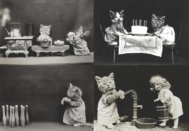 Illustration for article titled Vintage Photos Reveal Century-Long Obession with Dressing Up Pets